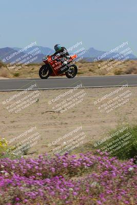 media/Mar-12-2023-SoCal Trackdays (Sun) [[d4c8249724]]/Turn 15 Inside Bloom (130pm)/